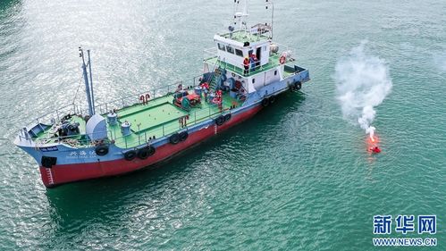 組圖 漳州海陸聯(lián)動 筑牢安全防線——海上應(yīng)急與陸路協(xié)同演練紀實