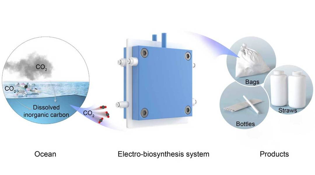 從諾獎發(fā)現(xiàn)到航空貨運革命 中國科學(xué)家用二氧化碳“變廢為寶”的綠色突破